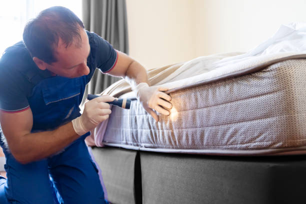 Best Bed Bug Extermination  in Whitehouse, OH